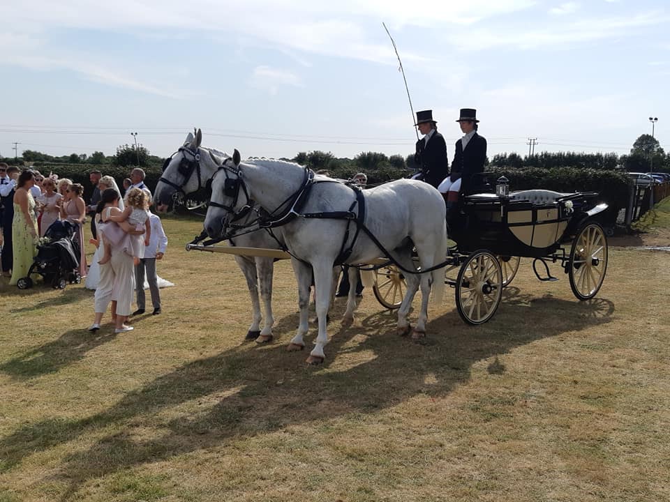 best wedding toastmaster for Steppingley, Bedfordshire